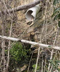 �̵���ˮֱ��