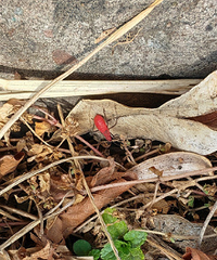 ������ж���