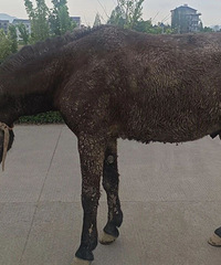 ˭�ҵ������ܳ����ˣ��ٺ���ͷ��һĻ����˾���ŵò��ᣡ