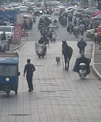 ˭�ҵ������ܳ����ˣ��ٺ���ͷ��һĻ����˾���ŵò��ᣡ