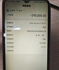 ��Ѯ�����������Ͷ�����壬29��Ԫ���ƭһ��