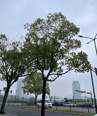 �����߸�Ѫѹ��Ѫ�ǵ��˶���