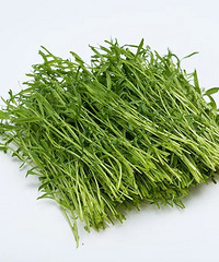 ��Щ������������ʳ�ġ����ٲ��Ծ����ˣ�