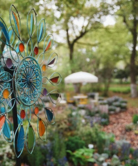 ȥ�Ϻ��ʻ��ۻ�԰����ǰ�����ع⣬������������������Ľ���