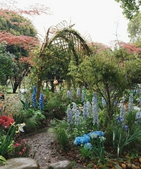 �Ϻ��ʻ��ۻ�԰����ǰ�����ع�