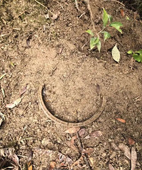 ̨��Ů��˽�Է��ò��޼У���סһֻ�����С�������䣬����������