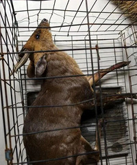 ̨��Ů��˽�Է��ò��޼У���סһֻ�����С�������䣬����������