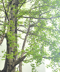 ��ɲ��ǰ�ɣ��Ŷ����֪�ܲ��ܳ�