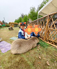 [����]���ڵĴ��ζ���������ѧ���֣��ƺ��͸ߴ�����