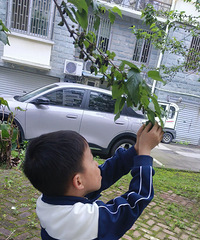 [�����ճ�]Сѧ���꼶����ҵ�����ϣ���������58��