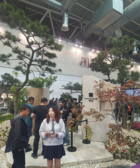 ��2026�μǡ����ݽ𼦺�������˳����˻�԰��