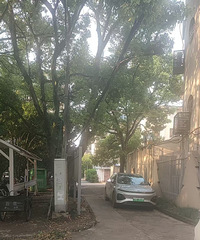 ����ͣ������ȱɶ����