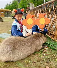 һ�꼶�Ĵ��Ρ������ǡ�