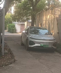 ����ͣ��ȱɶ