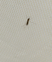 ��ʼ��������