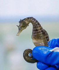 �۸�ÿ����4000��Ԫ��15000Ԫ���ȣ�̨���������š�ǧ��������