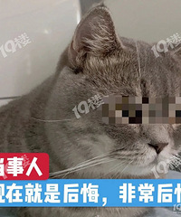 ���ڵͼ��������ӵ��ˣ�������ڣ�