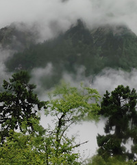 ����һƬƬ�����н��������� �·����ɾ��д���