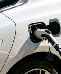 �����ۣ������Ż���