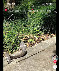 ����ɽ��԰�����۾����ˣ�