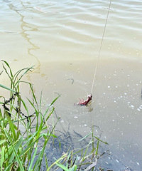 ��һ����̨�ݸ��ص�С��Ϻ�������