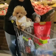 �����˵�����
