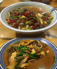 ������һ���ٴ壬�������⣬ȷʵ����