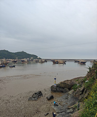 ���쵽�����߲�С�����