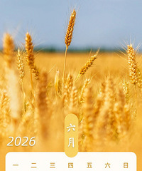 ��һ�������Ѿ���·���ˣ�����3�죬������