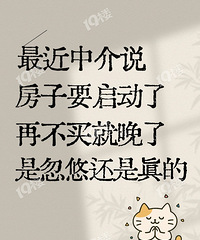 �ٲ����־����ˣ��Ǻ��ƻ����������