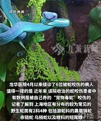 14���к�������Ҷ�൱���ﱻҧ��ҽ�����ѱ���ҧ��������������