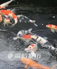 һβ��ֵ25�����롰���ϰ塱�б���