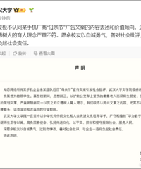 �߼����ܲ�ְ��ֱ��������OPPO�͡�ĸ�׽�Ӫ���İ�������Ǹ