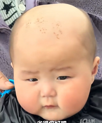�ɰ�һĻ��8���±���������������