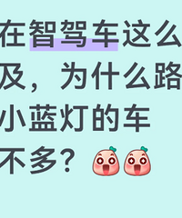 �����Ǽݳ���ô�ռ���Ϊʲô·�Ͽ�С���Ƶĳ�������