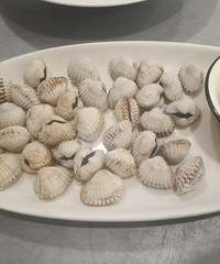 �����ŵ��ֳ�������ҹ�����