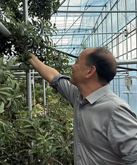 �㽭��÷�����������롱����⡢��Դ�뷢�����õ������ϸ�֤��