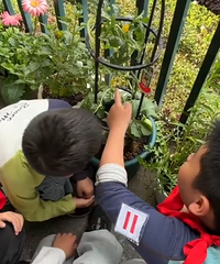 �û�������̻Ả�Ӱ�����