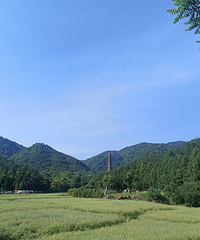 ���۸��᡿��������£��������һ���ӣ�����һ����ֻ��һ�Σ�