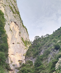 ���ṵ 90%���ο��β���һ������������Ů̲��һ����·