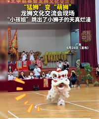 �Ȼ��ˣ�С������ʨ������ʨ����ʨ