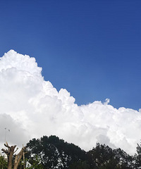��ٴ��޳�ȥ���Σ���ʦ�����������ļҳ���