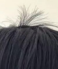 �������롱�ѳ���ʷ����10��ѧ����ʼ���С���ë������