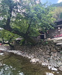 ��Ϫ�����Ӵ壬���첻�������棬��Ϊ�ᳵ�ܶ�·�εõ���