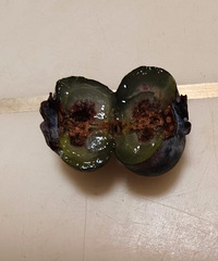 ���ף�������ݮ�����ã��п���о�ֱ丯��