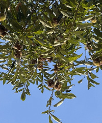 Σ�գ��������飬�۾������˴̣�̨�����ж������ˣ�ҽ������