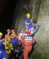 ̨��һ����Ϊ��ʧ�����˻������׸�����׹�䣬����70�׸ߴ���֦��