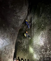 ̨��һ����Ϊ��ʧ�����˻������׸�����׹�䣬����70�׸ߴ���֦��
