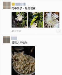 꼻���ͳһʱ�俪���������ö�������ɹ
