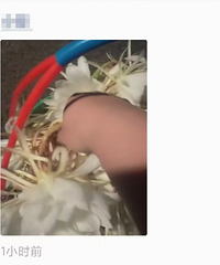 꼻���ͳһʱ�俪���������ö�������ɹ